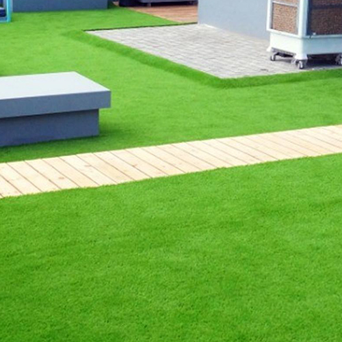 Landscape Grass Turf