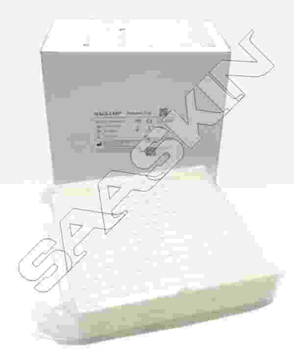 MAGLUMI Reaction Cup