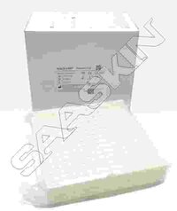 MAGLUMI Reaction Cup