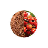 Guarana Powder Paullinia Cupana