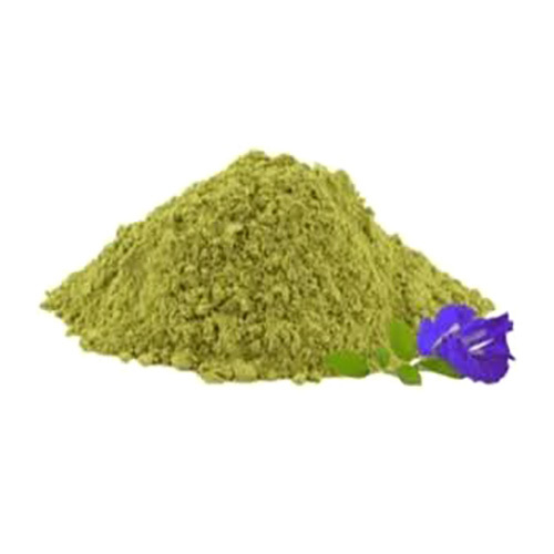 Convolvulus Prostratus -Convolvuluspluricaulis