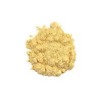 Lions Mane Powder Hericium Erinaceus