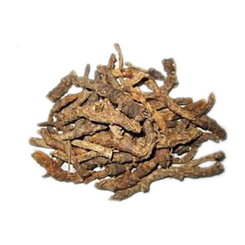 Kutki Powder Picorrhiza Kurroa