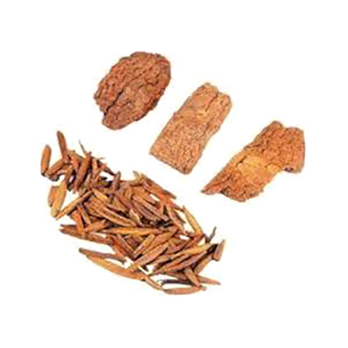 Kutaja Powder Holarrhena Antidysenterica