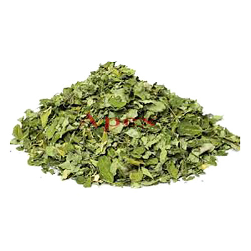 Moringa Dried Leaves Moringa Oleifera