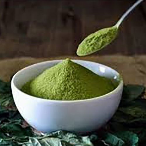 Matcha Green Tea Powder - COO India Camellia Sinensis