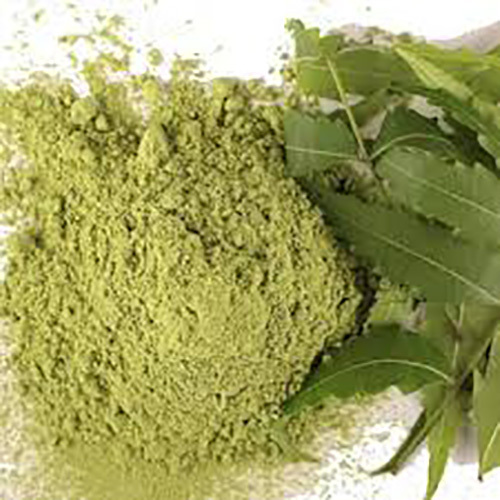 Neem Leaves Powder Azadirachta Indica