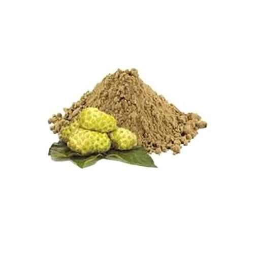 Noni Fruit Powder Morinda Citrifolia