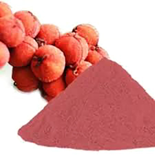 Red Kamala Powder Mallotus Philippensis