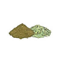 Senna Powder Cassia Angustifolia