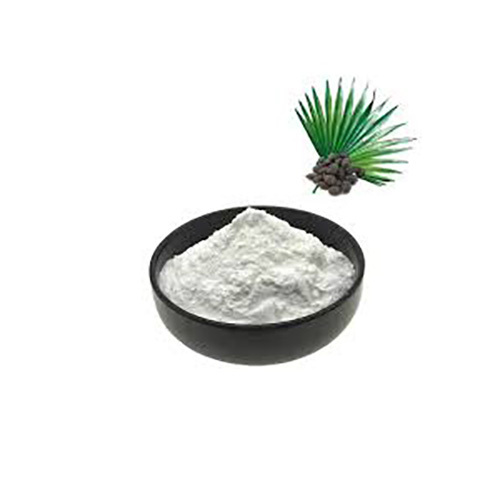 Saw Palmetto Powder Serenoa Repens