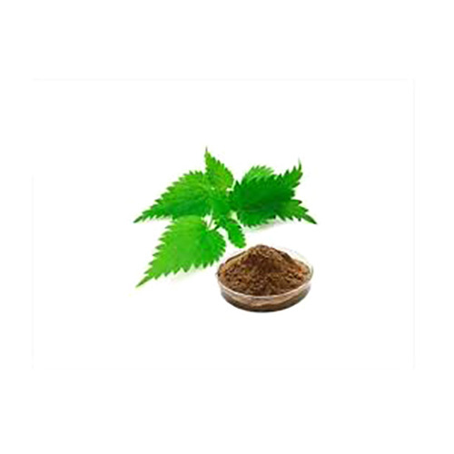 Stinging Nettle Powder Urtica Dioica
