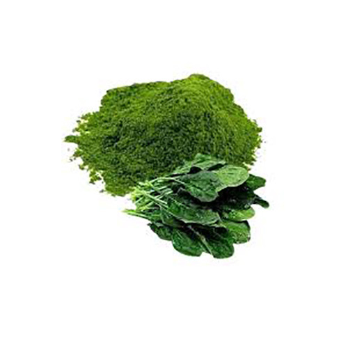 Spinach Powder Spinacia Oleracea