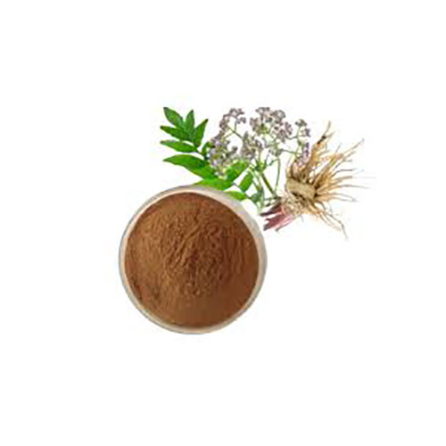 Valerian Powder Valeriana Officinalis