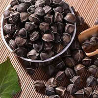 Moringa Seeds - Moringa Oleifera