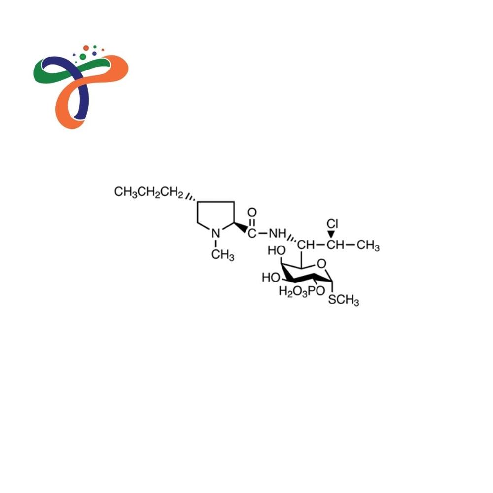 Clindamycin Phosphate (24729-96-2)