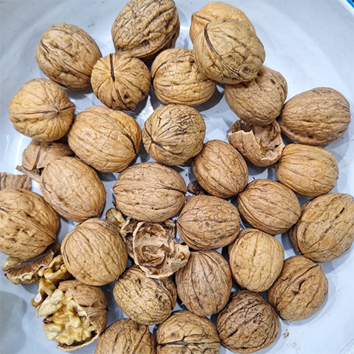 Pure Walnut at Best Price in Batala, Punjab | Nanak 13-13 Exporters