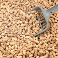 Cat Litter (pinewood) - Age Group: All Ages