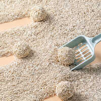 Cat Litter (tofu)