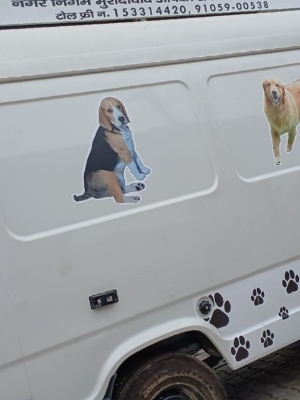 Mobile Dog Grooming Vans