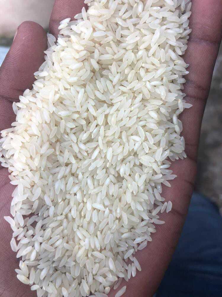 52 ब्रोकन सोना मसूरी 52 ब्रोकन सोना मसूरी