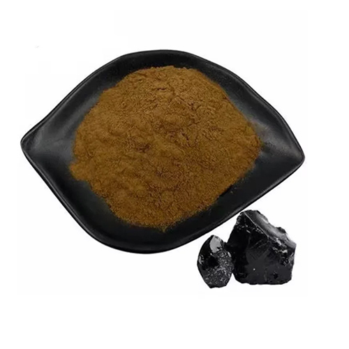 Pure Shilajit Extract Powder