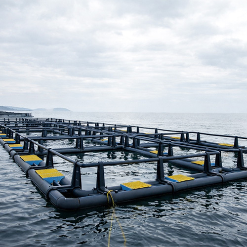 Aquaculture Fish Cages