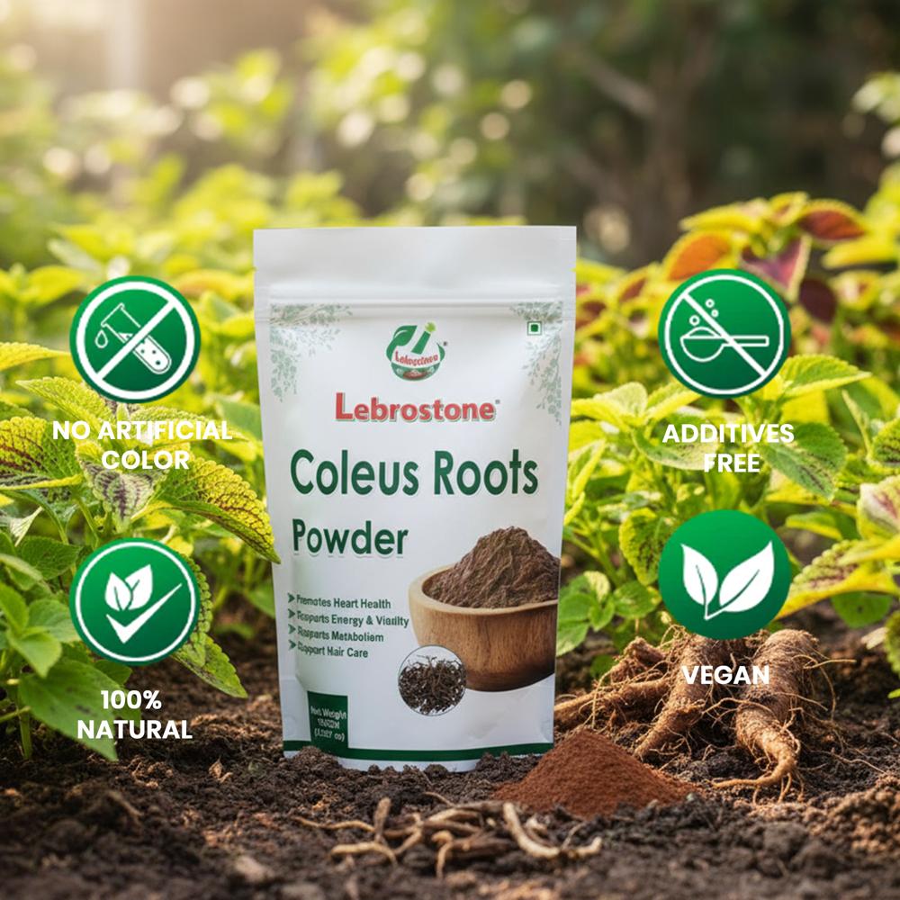 Lebrostone Coleus Root Powder | Supports Digestion, Heart Health, Blood Sugar | 100g