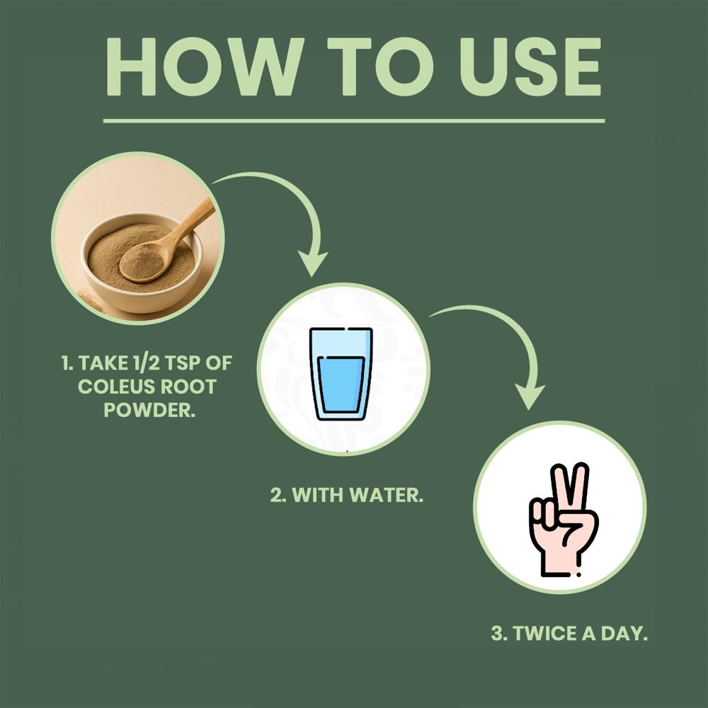 Lebrostone Coleus Root Powder | Supports Digestion, Heart Health, Blood Sugar | 100g