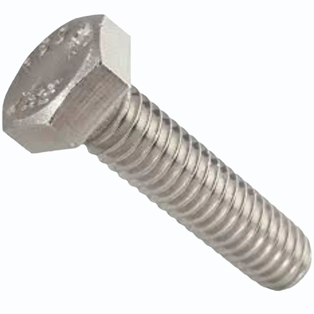 Stainless Steel Hex Screw