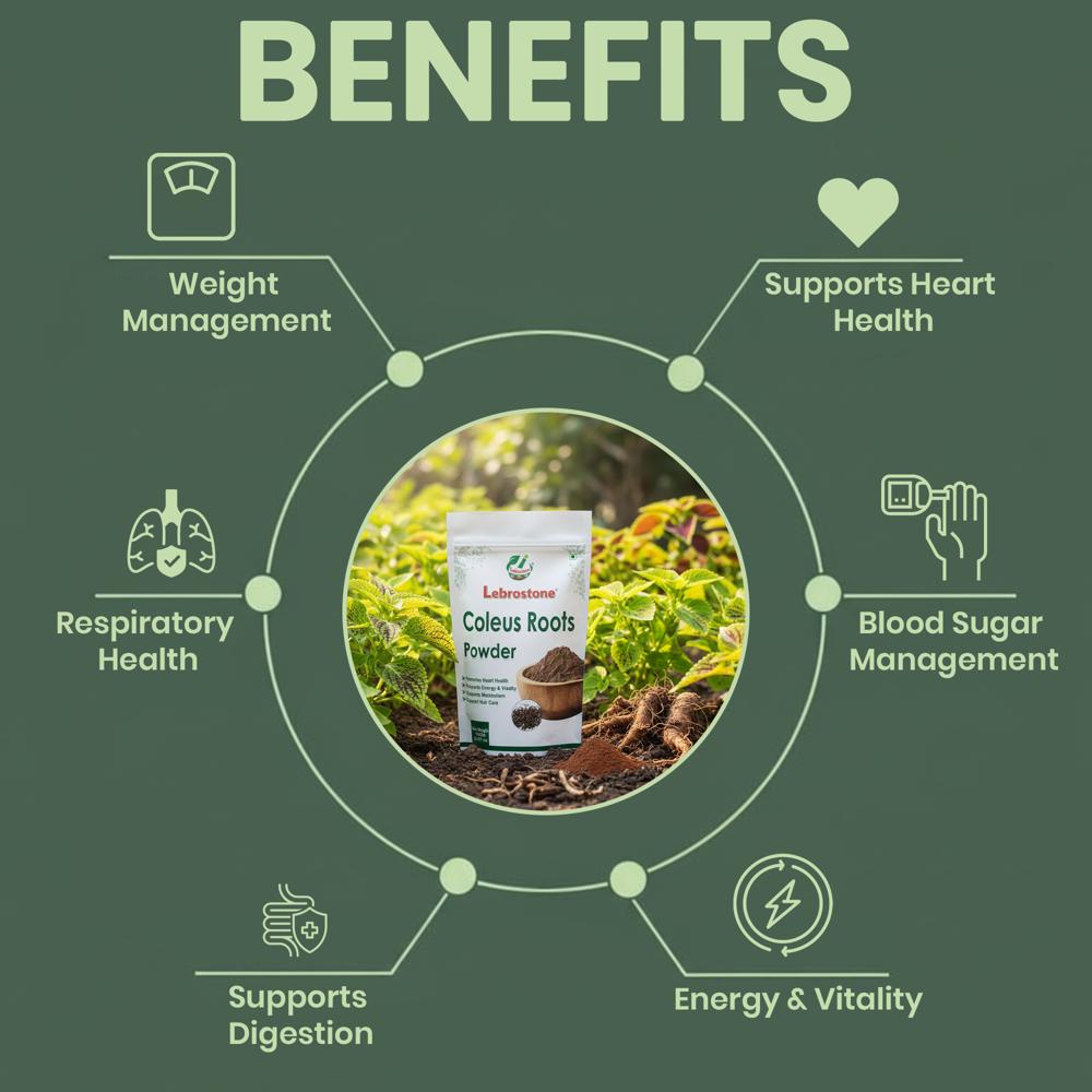 Lebrostone Coleus Root Powder | Supports Digestion, Heart Health & Blood Sugar Balance | 200g