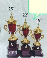 Metal Trophies Cup - Metal, 6x6x16 Inches, Gold With Silver Accents | Decorative Engraved, Mirror Finish, Star Handle