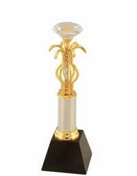 Gold Plated Brass Metal Trophies