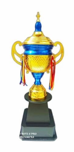 Cricket Tournaments Trophy