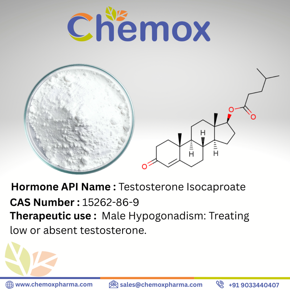 Testosterone Isocaproate Powder