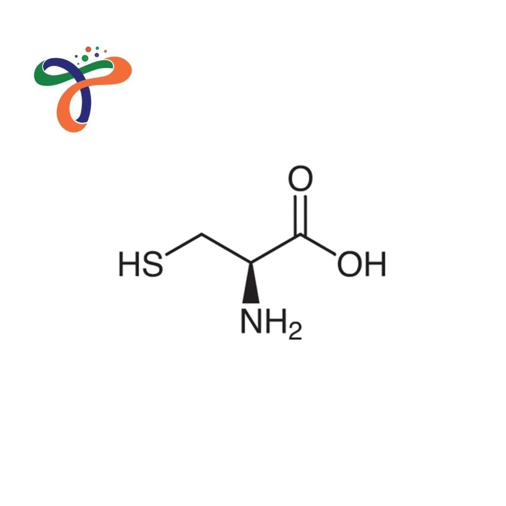 L-Cysteine (52-90-4) (C3H7NO2S)