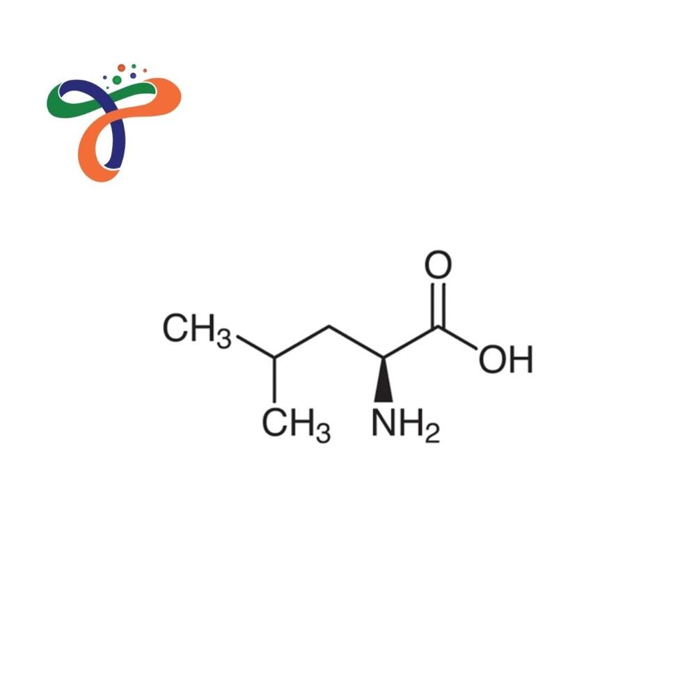 L-Leucine (61-90-5) (C6H13NO2)