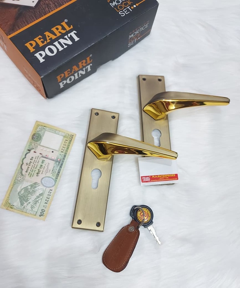 Distinctive Gold Finish Mortise Door Handles