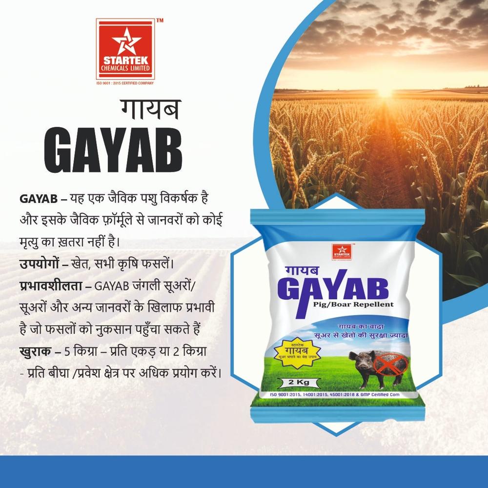 Gayab pig/boar repellent