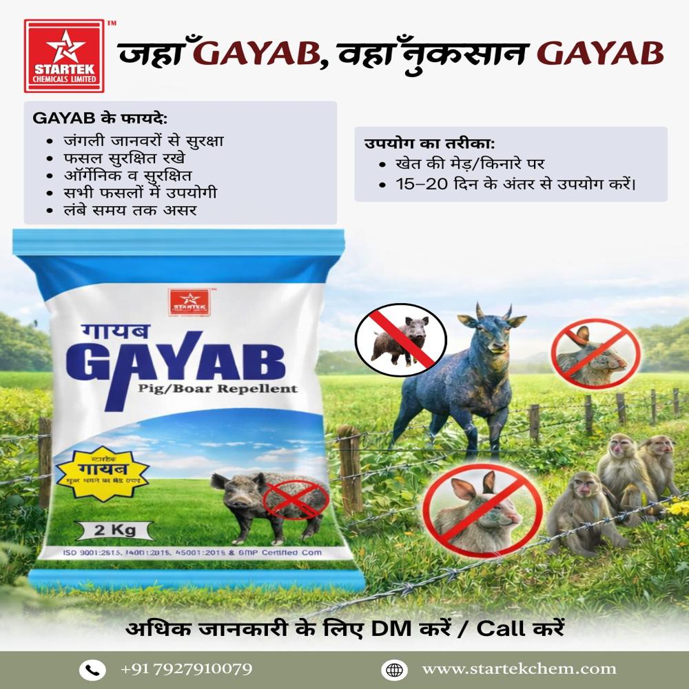 Gayab pig/boar repellent