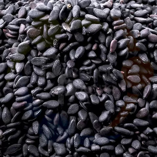 Black Sesame Seeds