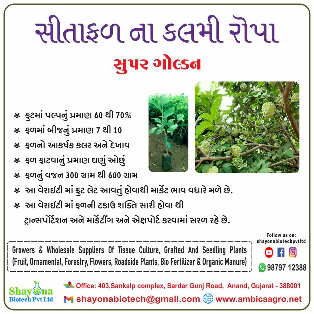 थाठà¤à¥à¤à¥ à¤à¤¸à¥à¤à¤°à¥à¤¡ à¤à¤ªà¥à¤ªà¤² पà¥à¤²à¤¾à¤à¤à¥à¤¸