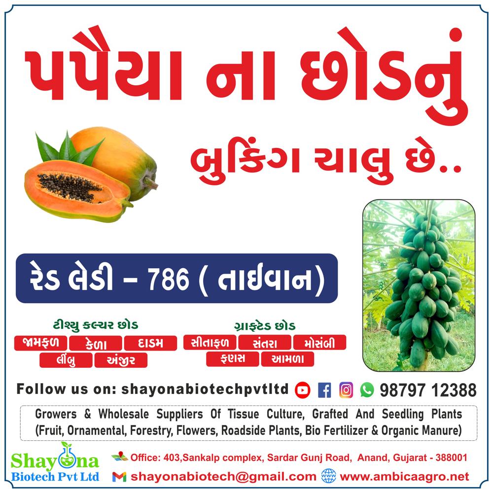 à¤à¥à¤°à¥à¤¨ बà¥à¤°à¥ पपà¥à¤¤à¤¾ à¤à¥ बà¥à¤