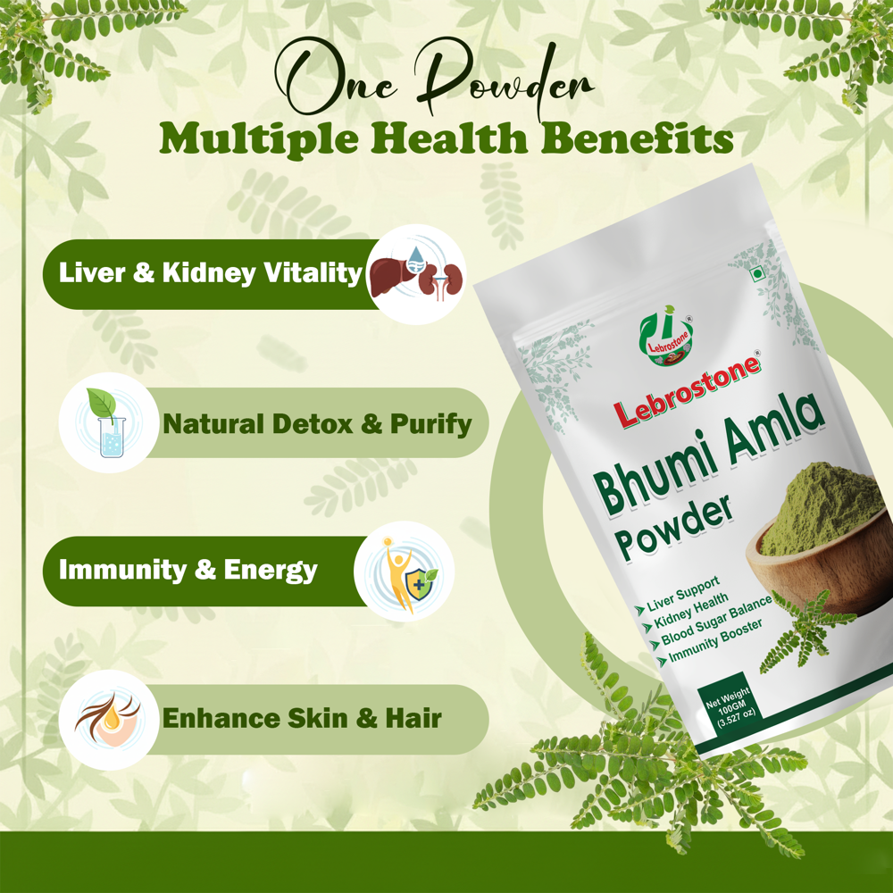 Lebrostone Bhumi Amla Herbal Powder for Liver Support, Detox, Immunity, Skin & Hair Health| 100g