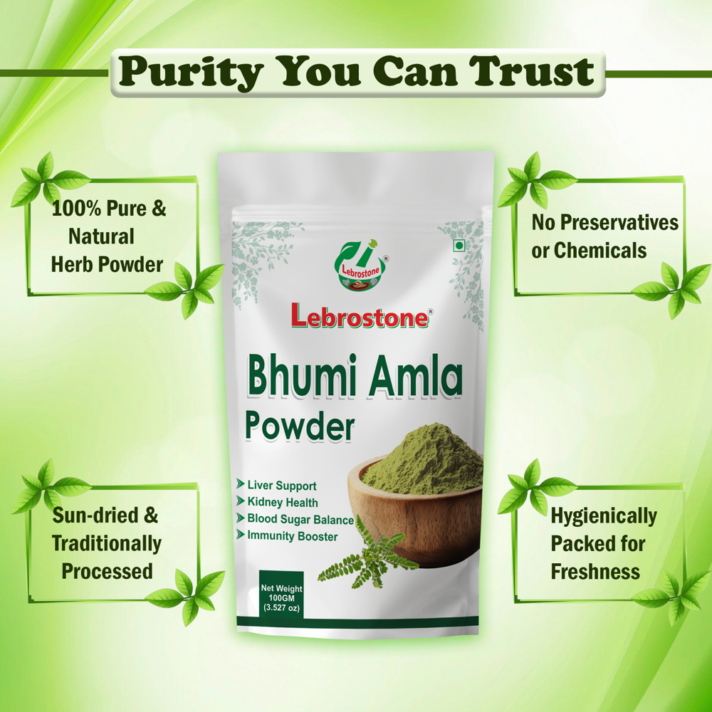 Lebrostone Bhumi Amla Herbal Powder for Liver Support, Detox, Immunity, Skin & Hair Health| 100g