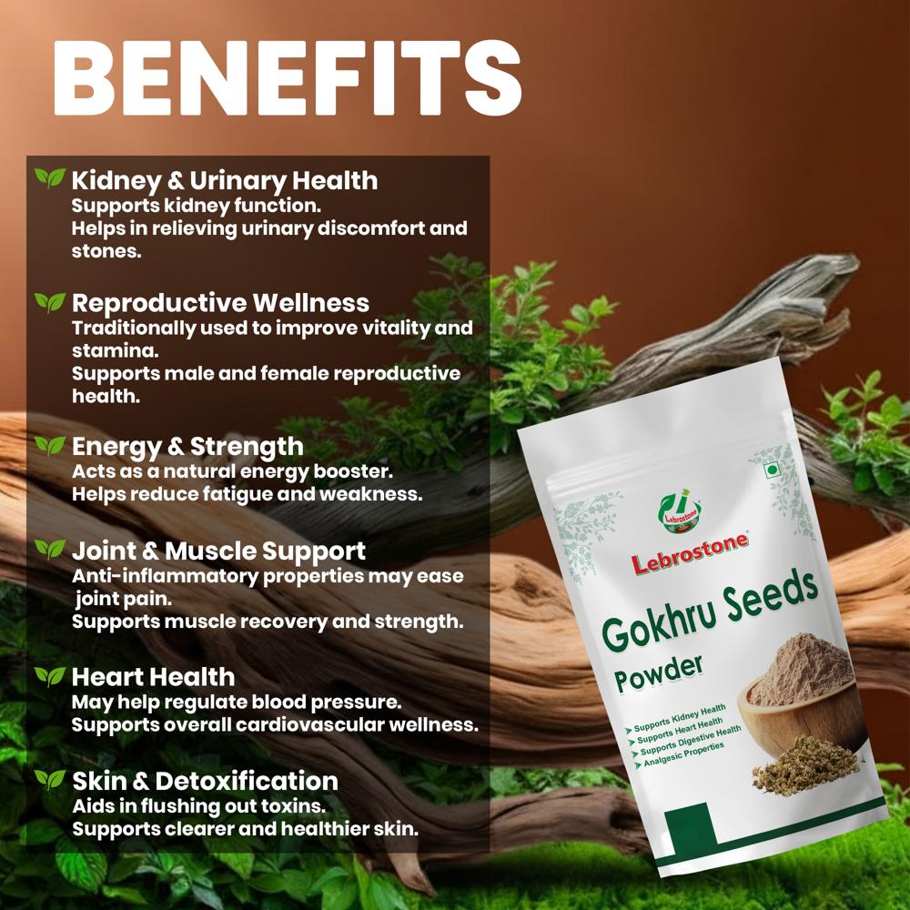 Lebrostone Gokhru Seeds Powder  Herbal Supplement for Kidney, Reproductive, Heart, Muscle & Skin Health(200g)
