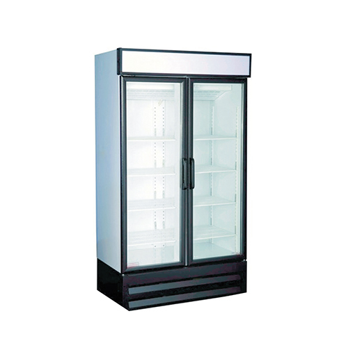 Double Door Visi Cooler