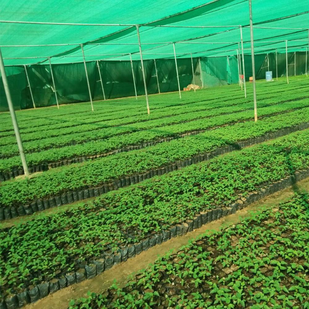 à¤à¥à¤°à¥à¤¨ बà¥à¤°à¥ पपà¥à¤¤à¤¾ à¤à¥ बà¥à¤