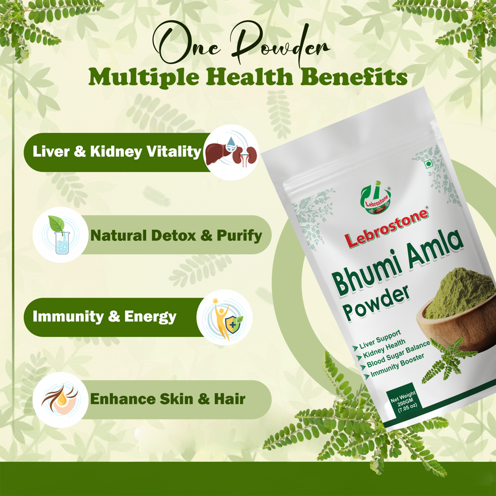 Lebrostone Bhumi Amla Herbal Powder for Liver Support, Detox, Immunity, Skin & Hair Health| 200g