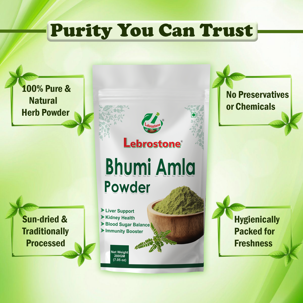 Lebrostone Bhumi Amla Herbal Powder for Liver Support, Detox, Immunity, Skin & Hair Health| 200g